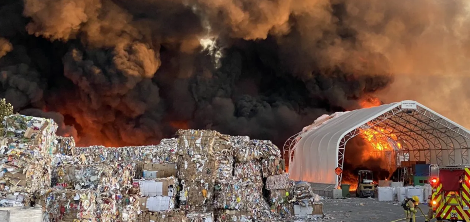 Recycling facility conveyor belt