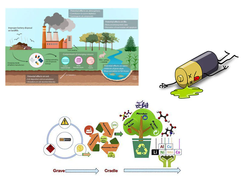 Environmental sustainability concept