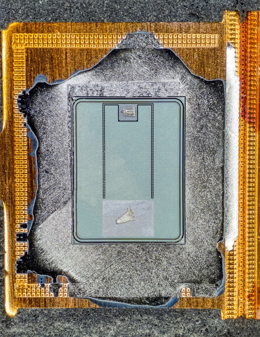 The die of a power MOSFET under a microscope, the metal source pads and gate bond visible on the silicon.