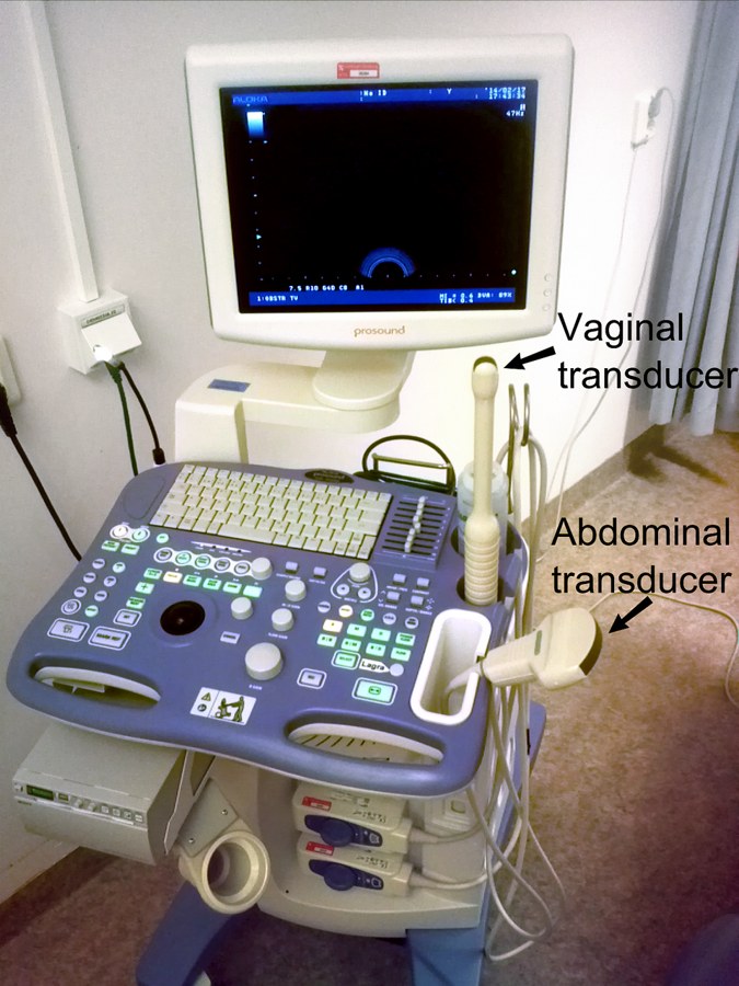 An ultrasound machine with an abdominal transducer and a vaginal transducer