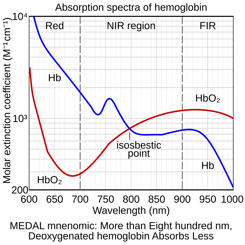 Graph of the near-infrared absorption of oxygenated and deoxygenated haemoglobin against wavelength