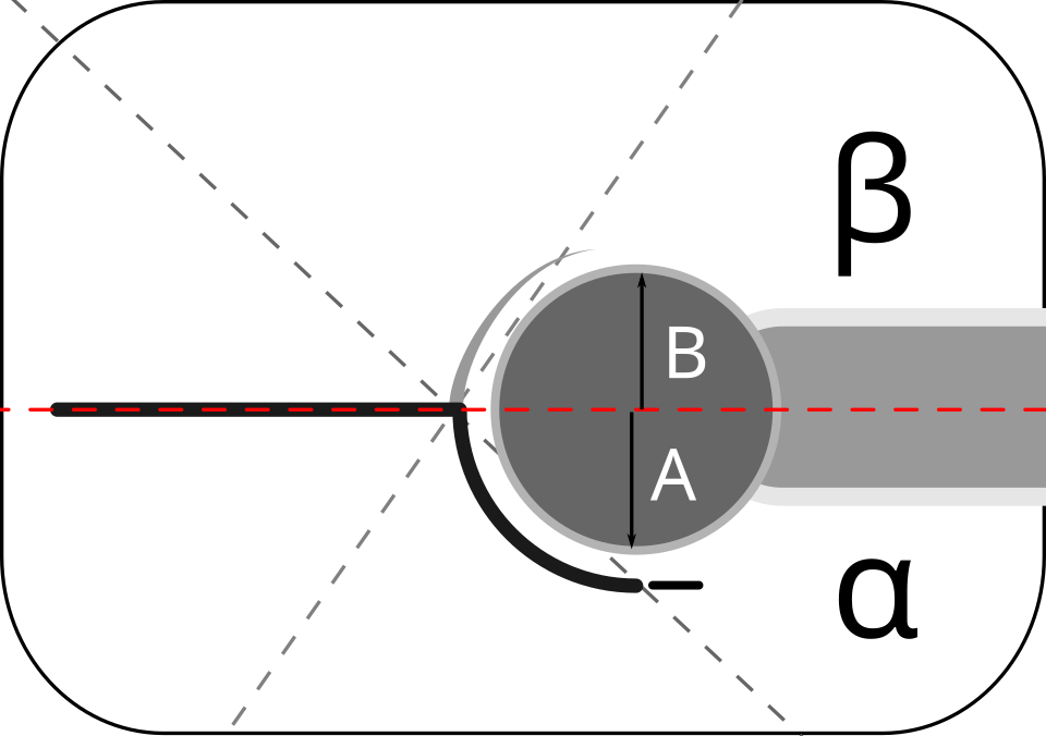 Schematic of the Graf hip measurement showing the baseline, alpha and beta angles, and the femoral head