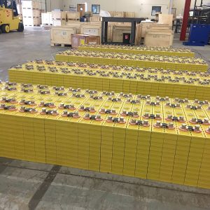 Rows of prismatic LiFePO4 battery cells in a facility