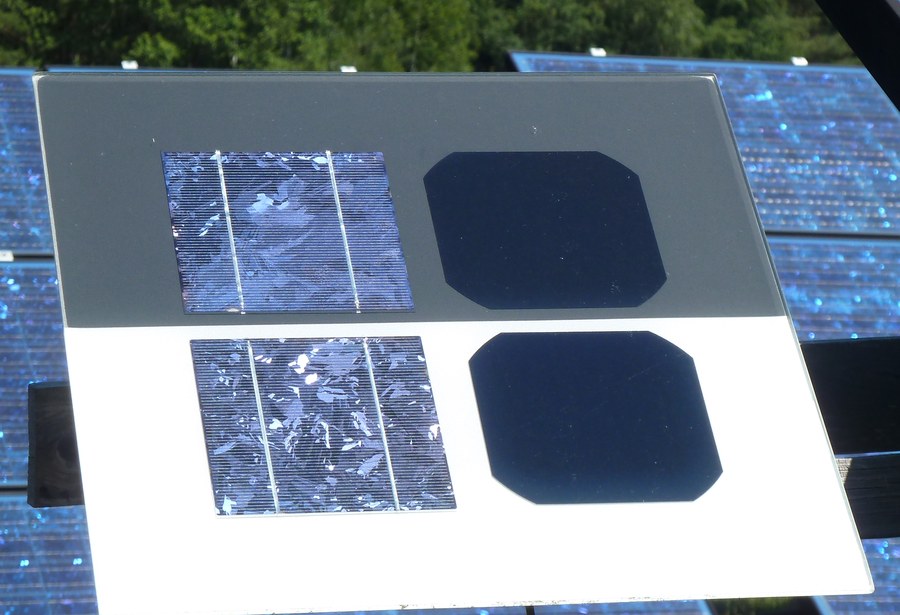 A display board holding a blue flecked polycrystalline solar cell beside a uniformly dark monocrystalline cell with chamfered corners, in front of an array of modules