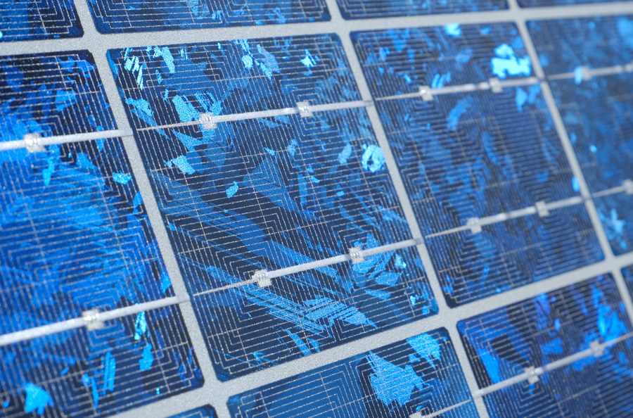 Close-up of a polycrystalline module surface showing flecked blue grains inside full-square cells, with fine metallisation fingers and soldered busbars crossing them